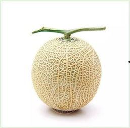 不同的吃瓜方法