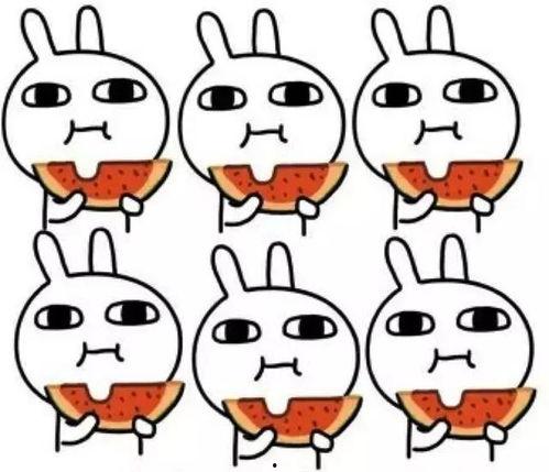 超级吃瓜游戏呆瓜和傻瓜,超级吃瓜游戏的趣味对决