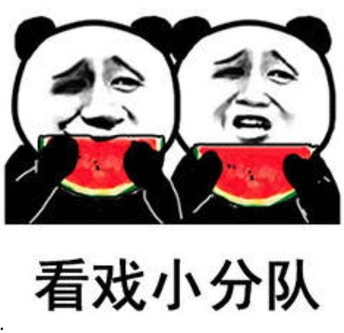 不许吃瓜表情包,网络热梗背后的文化现象