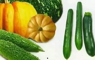 春吃花秋夏吃瓜,春赏花蕾，秋品瓜果，夏享清凉