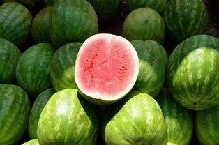 白色套装吃瓜,揭秘时尚界的秘密角落