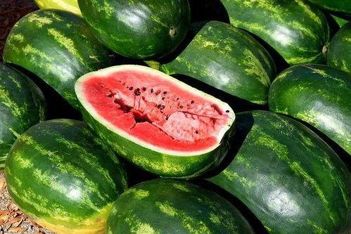 食品吃瓜人,探寻美食与生活的甜蜜奥秘